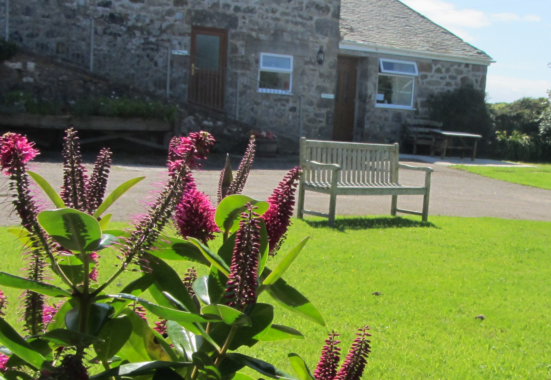 Trelawne at Trevalgan Barns Holiday cottage with sea views - Enjoy peace and quiet on the cliff tops or family fun on the nearby sandy beaches in St Ives.